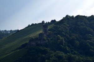 Burg